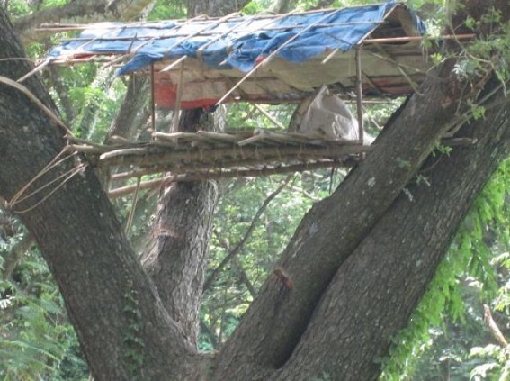 Jumbo threat hits life Jumbo threat hits life